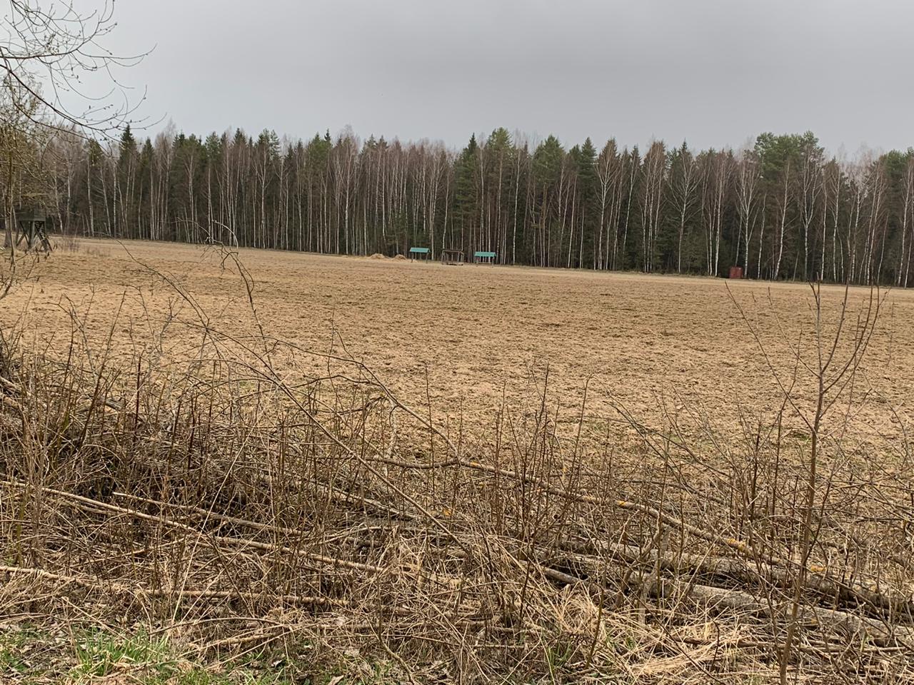 Вид за участком Вид за участком