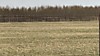 Ближайшее охотхозяйство Ближайшее охотхозяйство